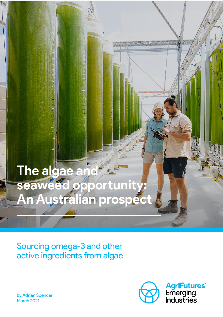 Algae Seaweed Opportunity